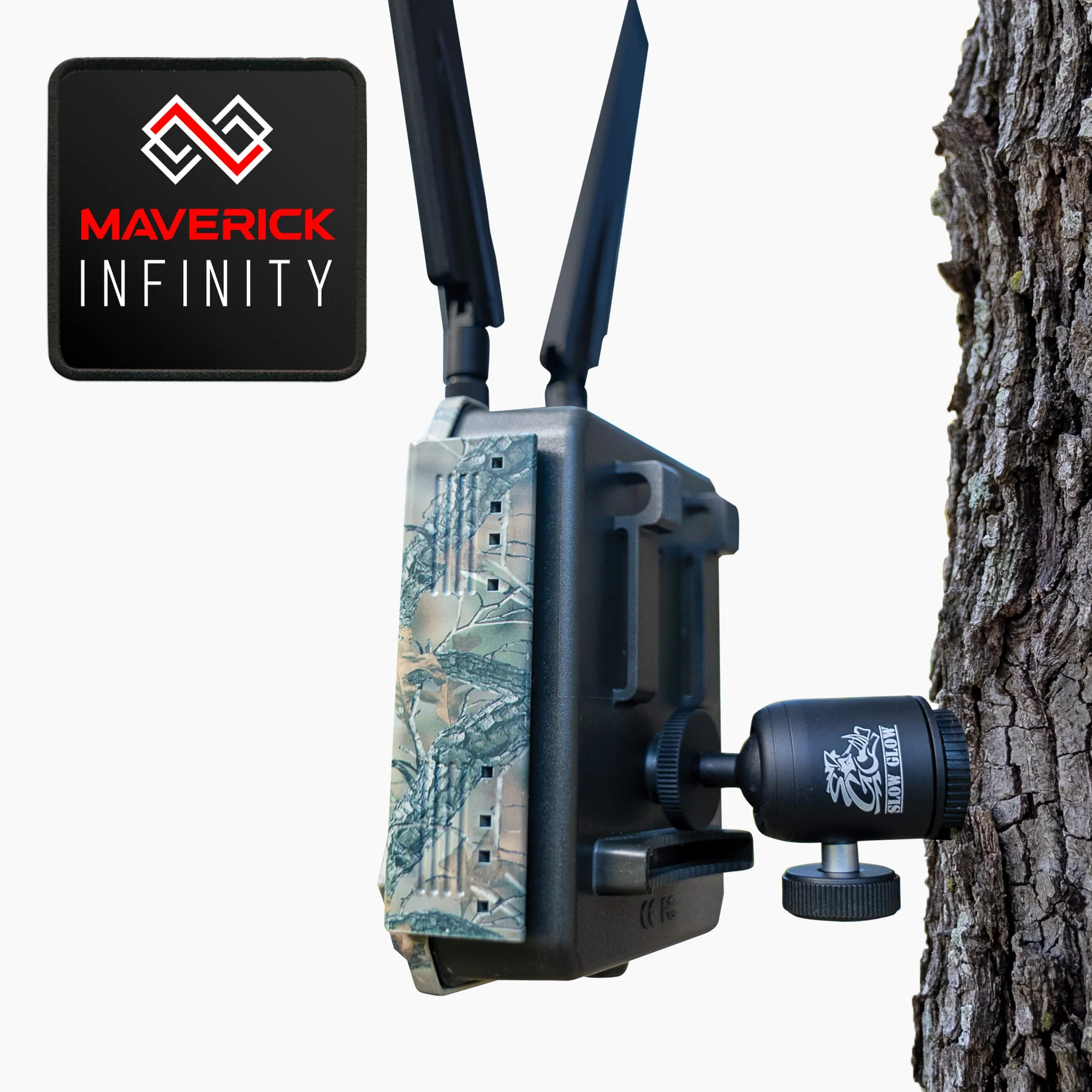Can the spike be removed from the tree when your ready to move the mount?